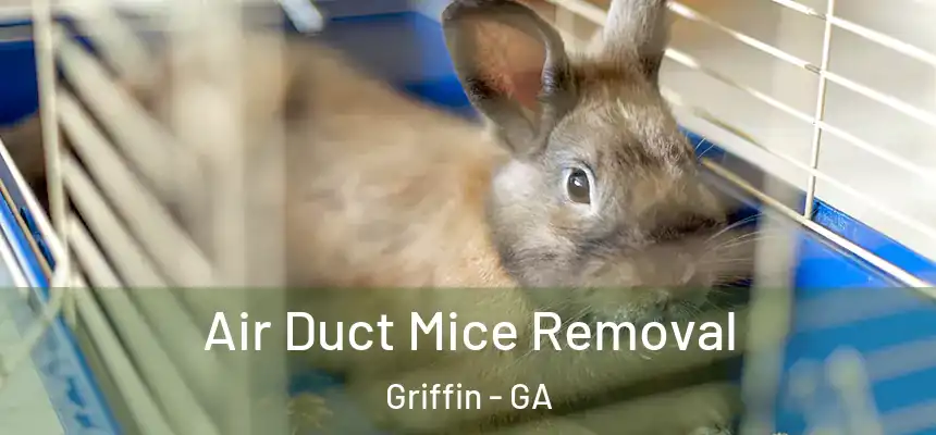  Air Duct Mice Removal Griffin - GA