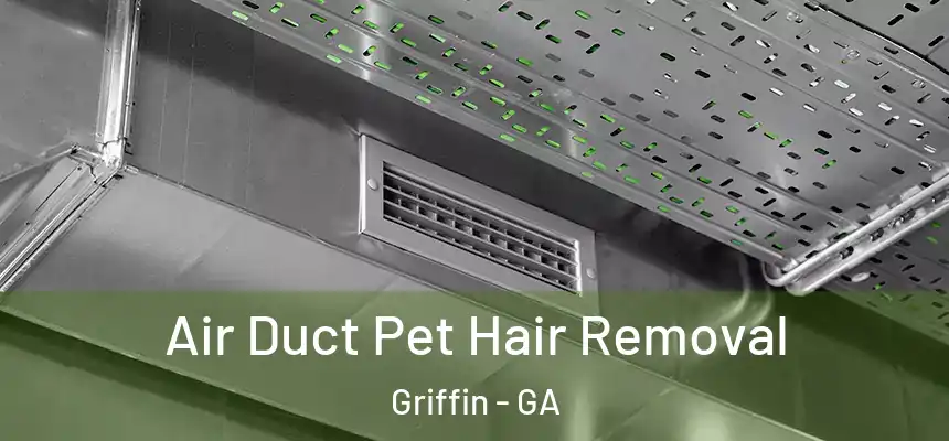  Air Duct Pet Hair Removal Griffin - GA
