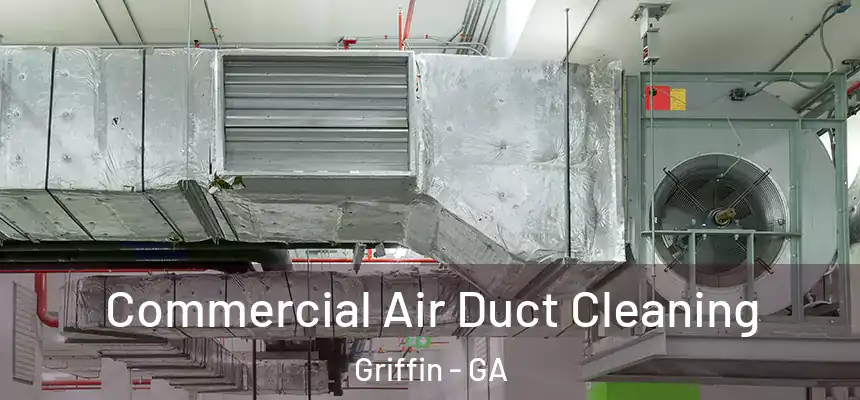  Commercial Air Duct Cleaning Griffin - GA