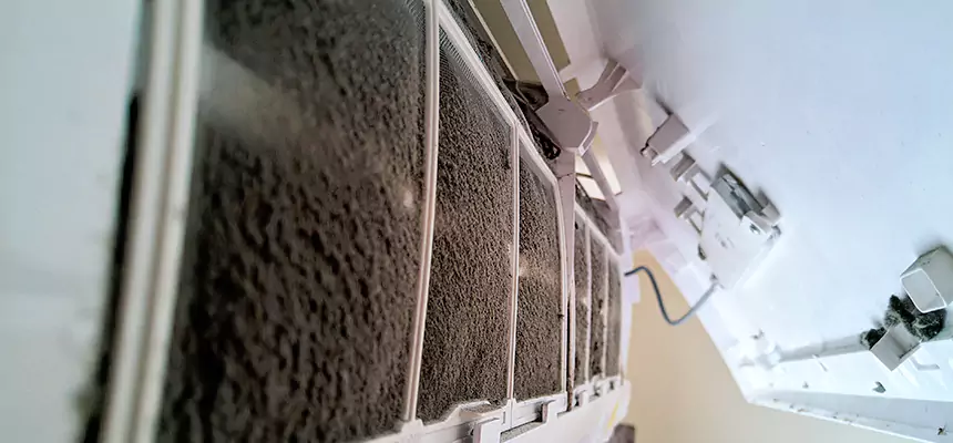 Preventive Air Duct Bacteria Removal in Griffin