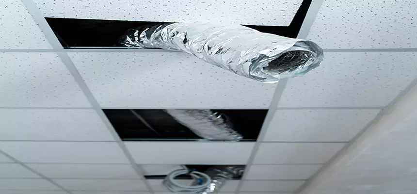 Affordable HVAC Sanitizing After Pest Removal in Griffin