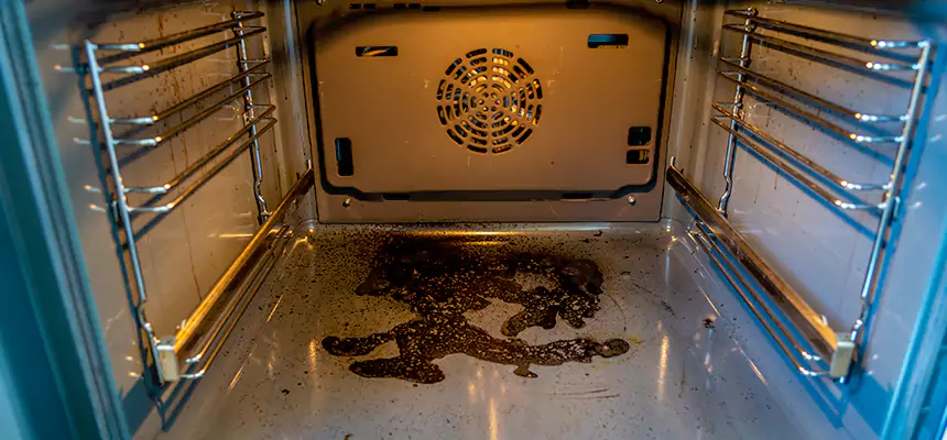 Our Dryer Vent Mold Cleaning Services in Griffin, GA