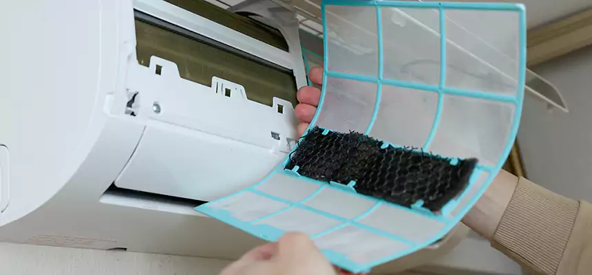 Gentle Ductwork Odor-Control Pet Dander Duct Cleaning in Griffin, GA