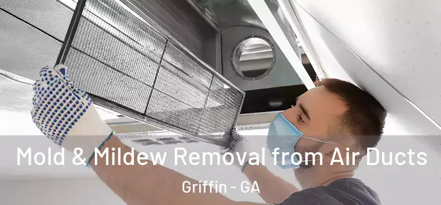  Mold & Mildew Removal from Air Ducts Griffin - GA