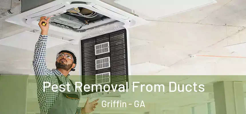 Pest Removal From Ducts Griffin - GA
