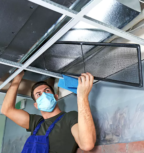 About Air Duct Bacteria Removal in Griffin