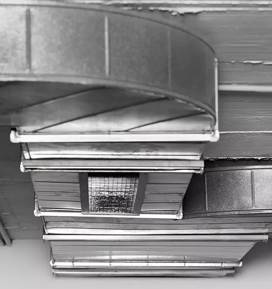 Professional Air Duct Pest Removal in Griffin, GA