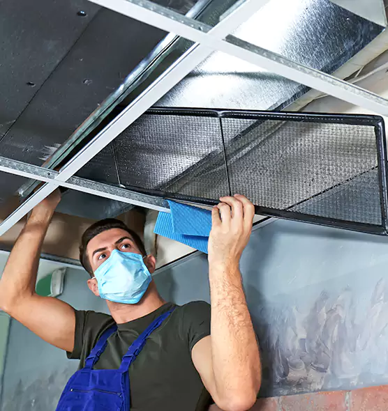 Professional Air Duct Pollen Cleaning in Griffin, GA
