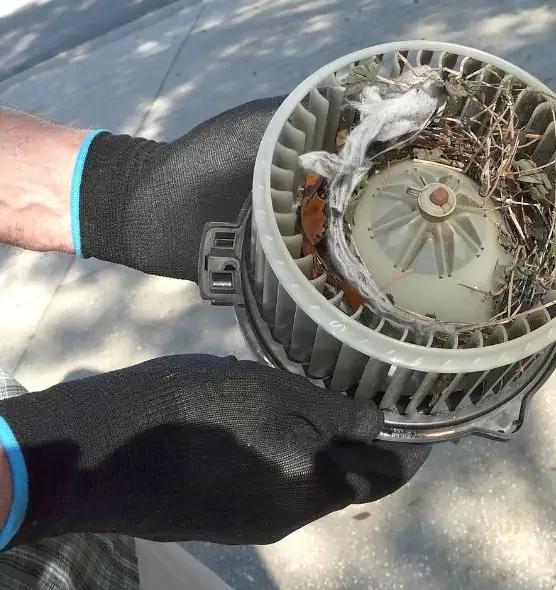 About Air Duct Rat Removal in Griffin, GA