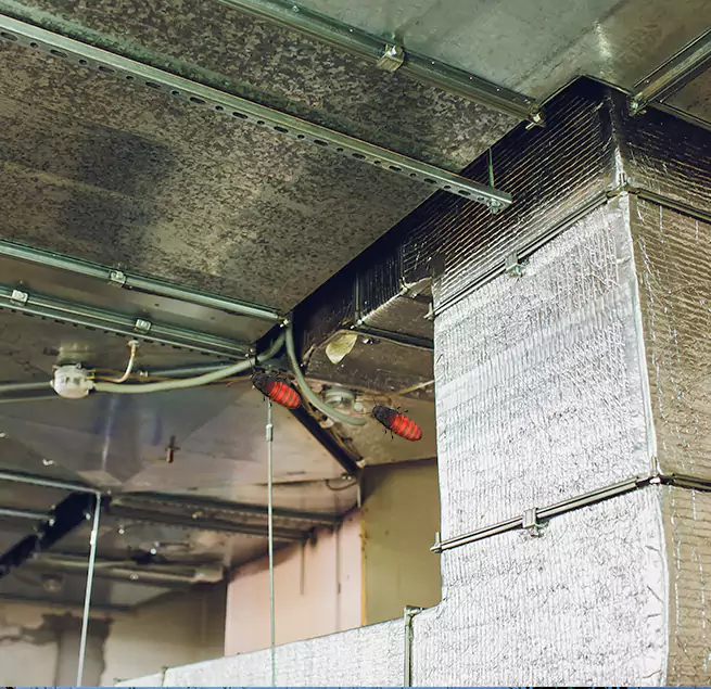 Why Homeowners & Businesses Trust Us in Griffin, GA?