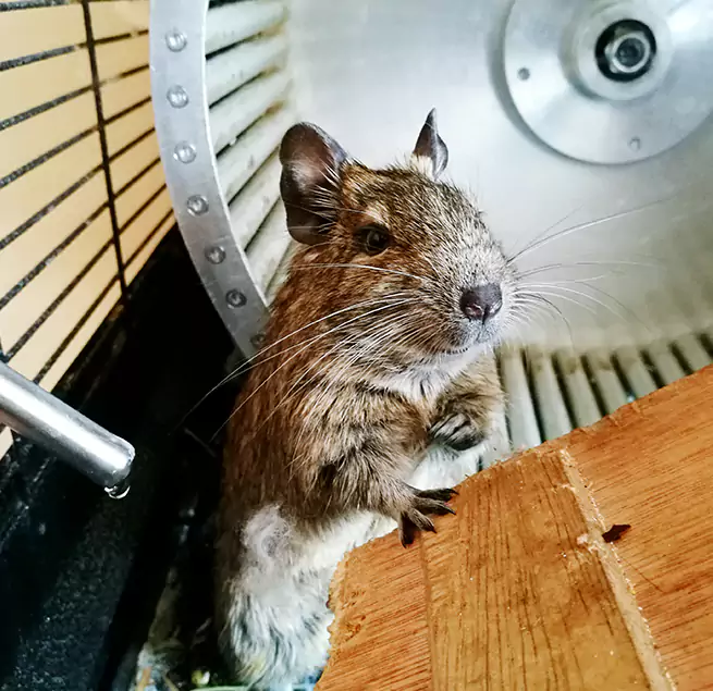 Why Homeowners & Businesses Trust Us Griffin, GA