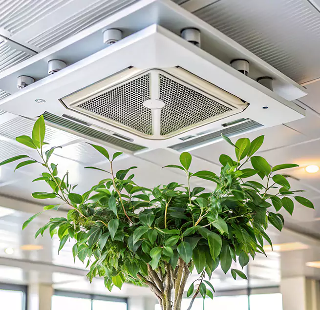 Why Homeowners & Businesses Trust Us in Griffin, GA?