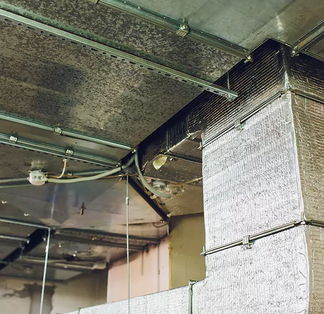 Why Homeowners & Businesses Trust Us in Griffin, GA?